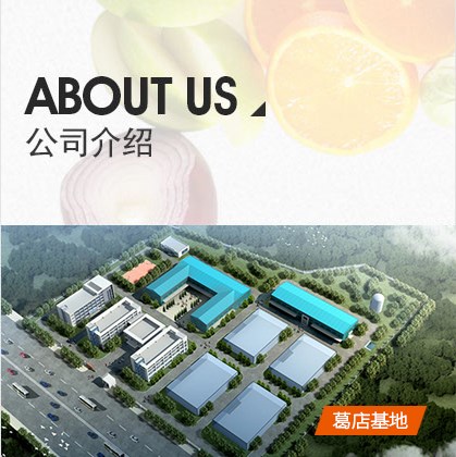 公司介绍