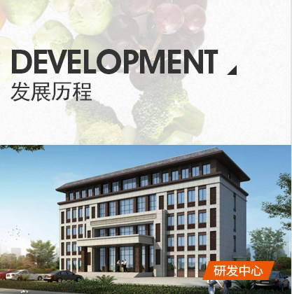 发展历程