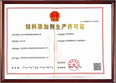Production Licence